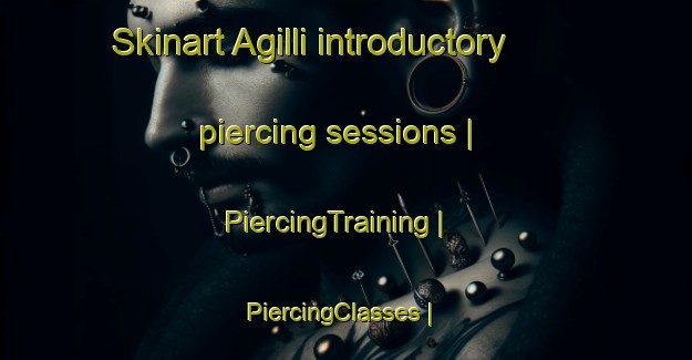 Skinart Agilli introductory piercing sessions | PiercingTraining | PiercingClasses | SkinartTraining-Turkey